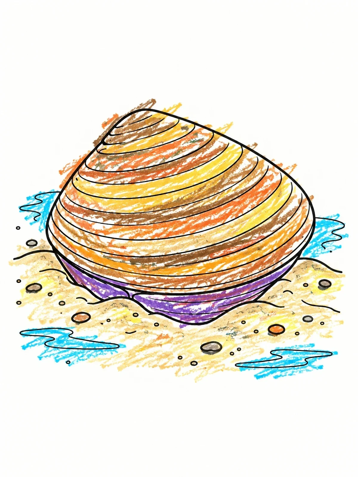 Colored example of the Clam Shell Resting In Wet Sand coloring page