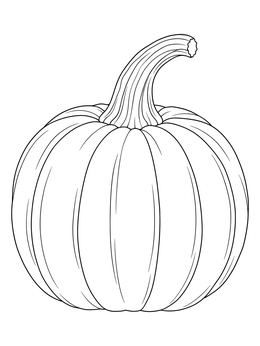 A detailed pumpkin coloring page featuring distinct ridges and a tall curved stem.