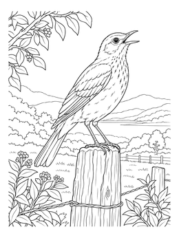 Free printable Clay Colored Thrush On Fence Post coloring page