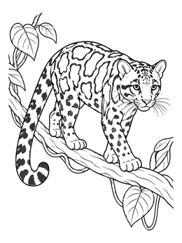 Free printable Clouded Leopard On A Jungle Branch coloring page
