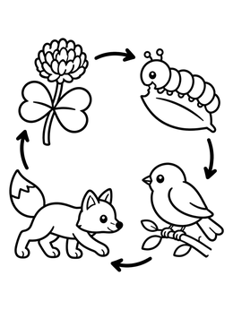 Free printable Clover To Fox Food Chain Diagram coloring page