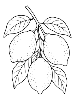A branch bearing three ripe citrus fruits on this lemons coloring page.