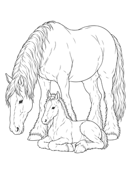 A gentle mare watches over her newborn foal in this detailed Clydesdale coloring page.