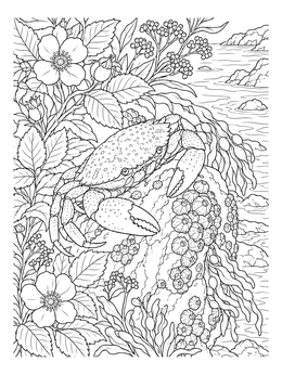 Detailed crab coloring page resting on a rocky shore with barnacles and coastal roses.