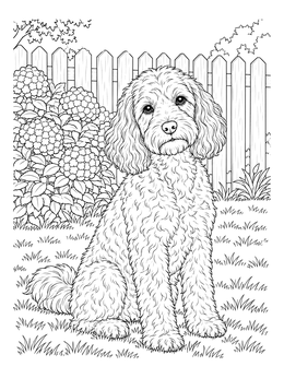 Free printable Cockapoo In Backyard Garden coloring page