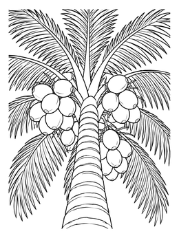 Looking up into palm fronds and fruit clusters in this coconut coloring page.