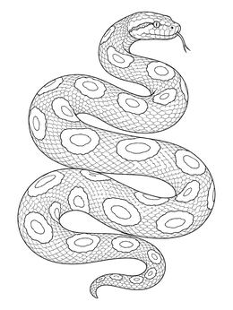 Free printable Coiled Anaconda With Detailed Scales coloring page