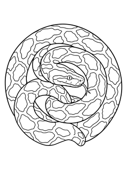Free printable Coiled Burmese Python Mandala coloring page