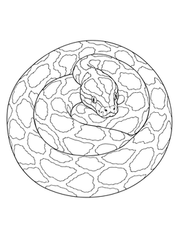 A detailed burmese python coloring page showing the snake coiled tightly in a circle.