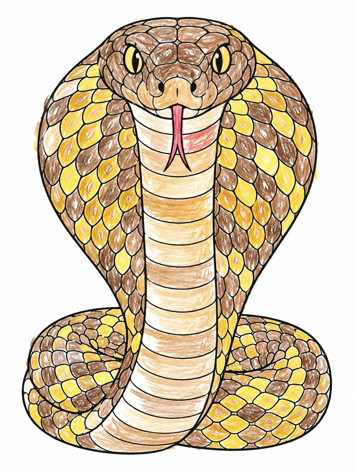 Colored example of the Coiled Cobra With Flared Hood coloring page