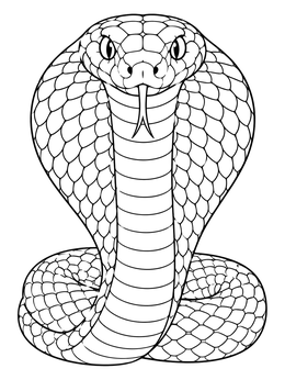 Front view of a cobra coloring page with an expanded hood and coiled body.