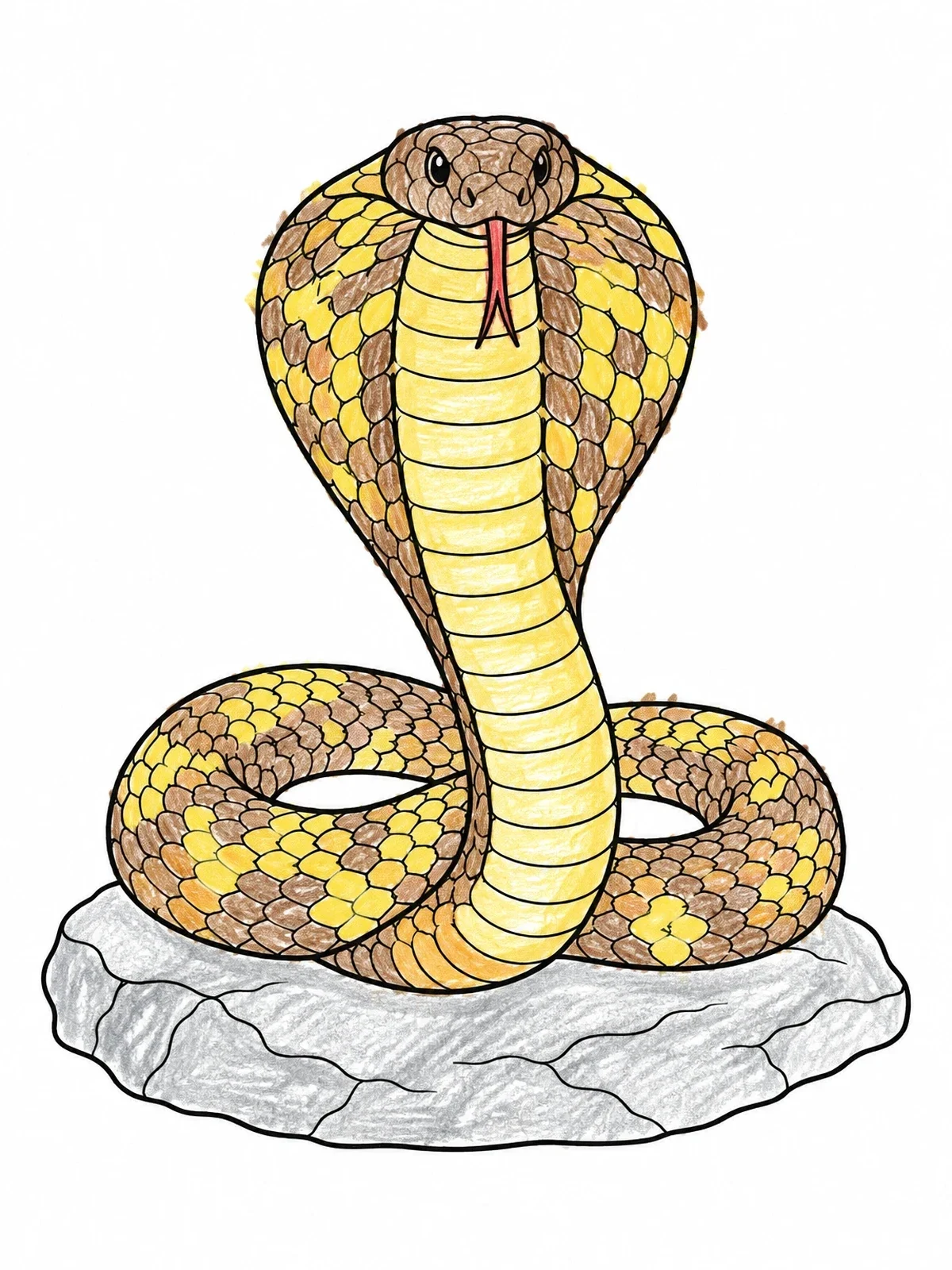 Colored example of the Coiled Cobra On Flat Rock coloring page