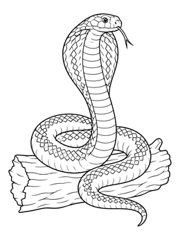 A detailed cobra coloring page showing a serpent coiled atop a dry wooden log.