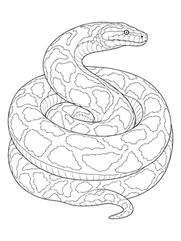 Free printable Coiled Giant Titanoboa Snake coloring page