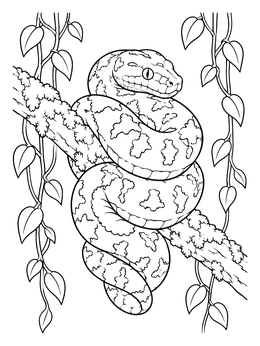 A detailed snake coils around a branch in this rainforest coloring page.