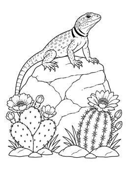 A detailed lizard coloring page showing a collared lizard on a rock among blooming cacti.
