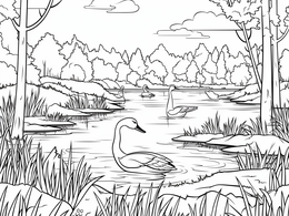 Swamp Wonderland Coloring - Coloring Page