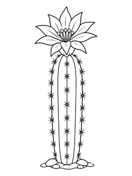 A slender cactus coloring page featuring a large star-shaped bloom at the top.