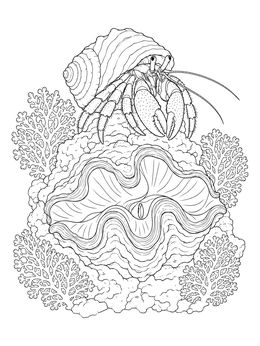 Free printable Hermit Crab On Giant Clam coloring page