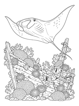 Free printable Manta Ray Over Sunken Shipwreck coloring page