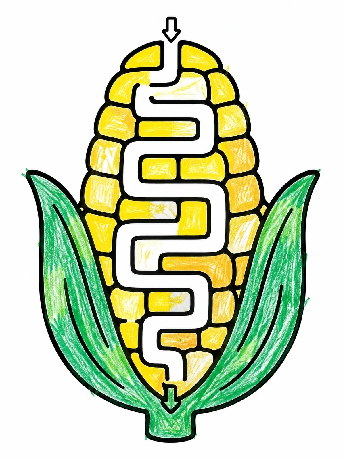 Colored example of the Corn Cob Maze Puzzle coloring page