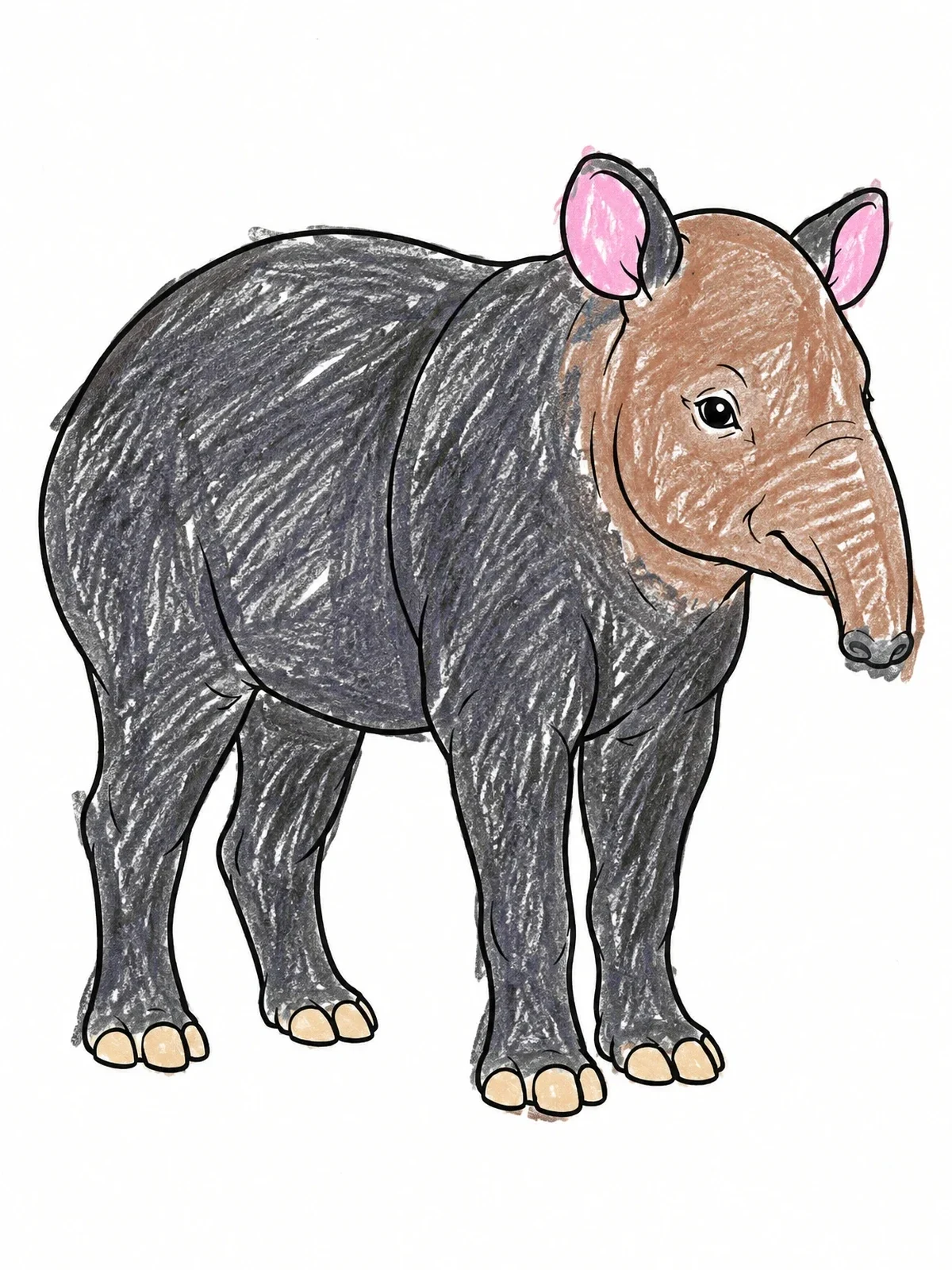 Colored example of the Costa Rican Baird's Tapir coloring page
