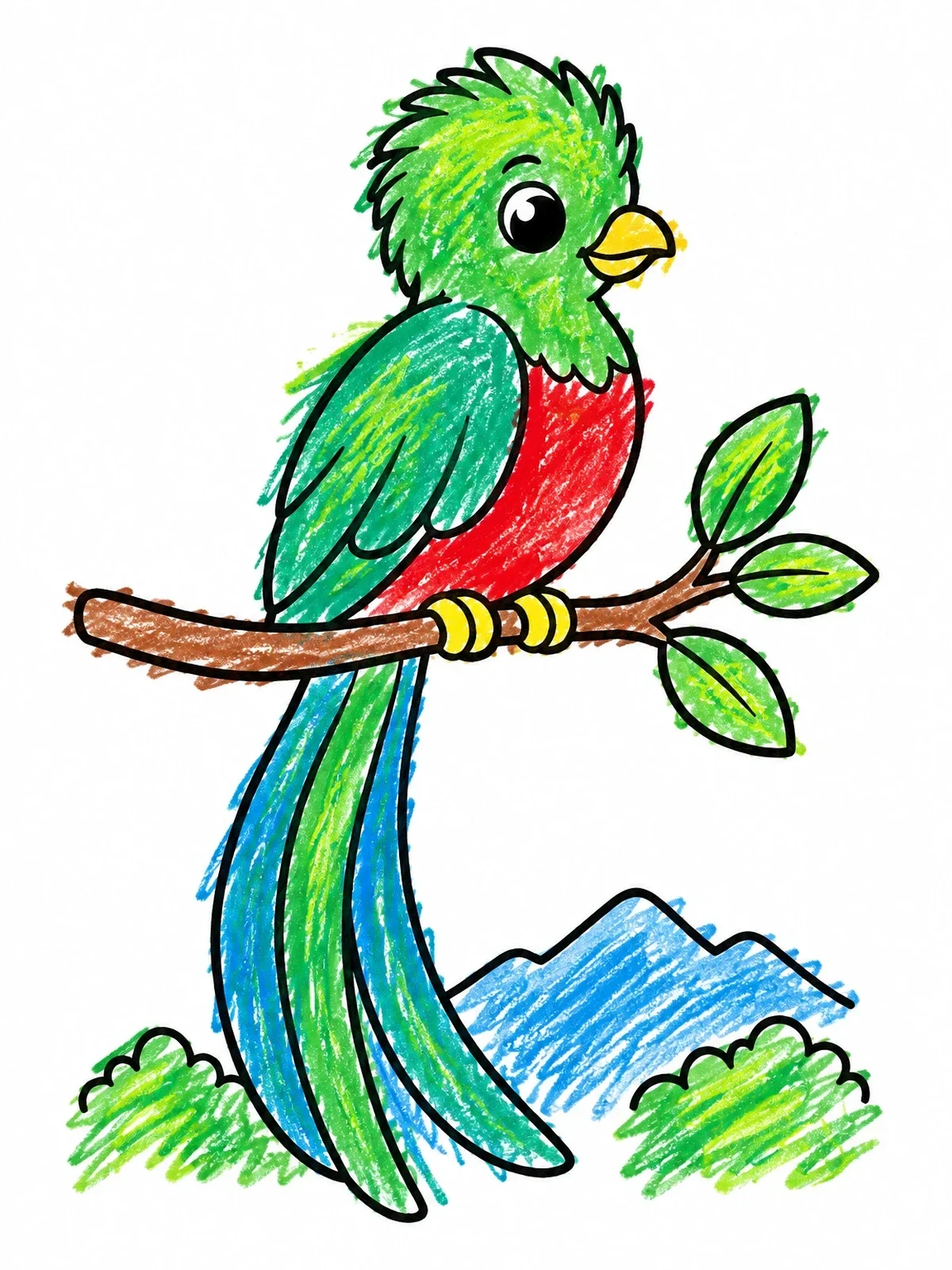 Colored example of the Resplendent Quetzal On A Branch coloring page