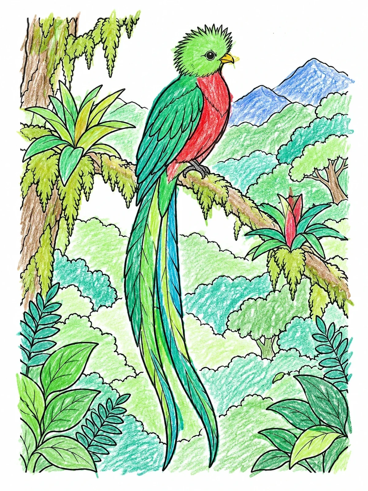 Colored example of the Resplendent Quetzal In The Cloud Forest coloring page