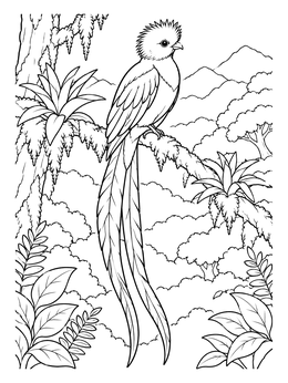 Free printable Resplendent Quetzal In The Cloud Forest coloring page