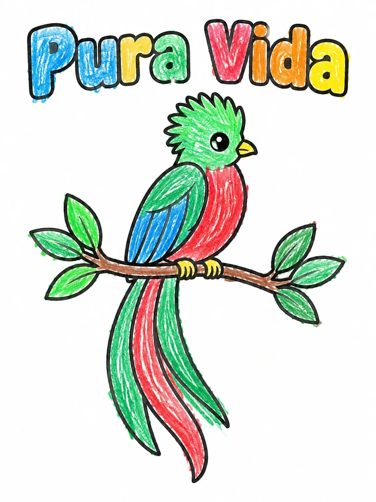 Colored example of the Resplendent Quetzal Pura Vida coloring page