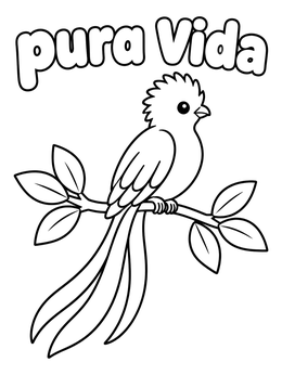 Free printable Resplendent Quetzal And Pura Vida coloring page