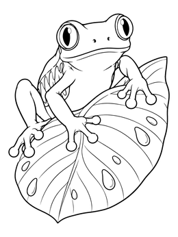 Free printable Tree Frog On Rainforest Leaf coloring page