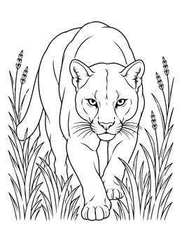 Free printable Cougar Prowling Through Tall Grass coloring page