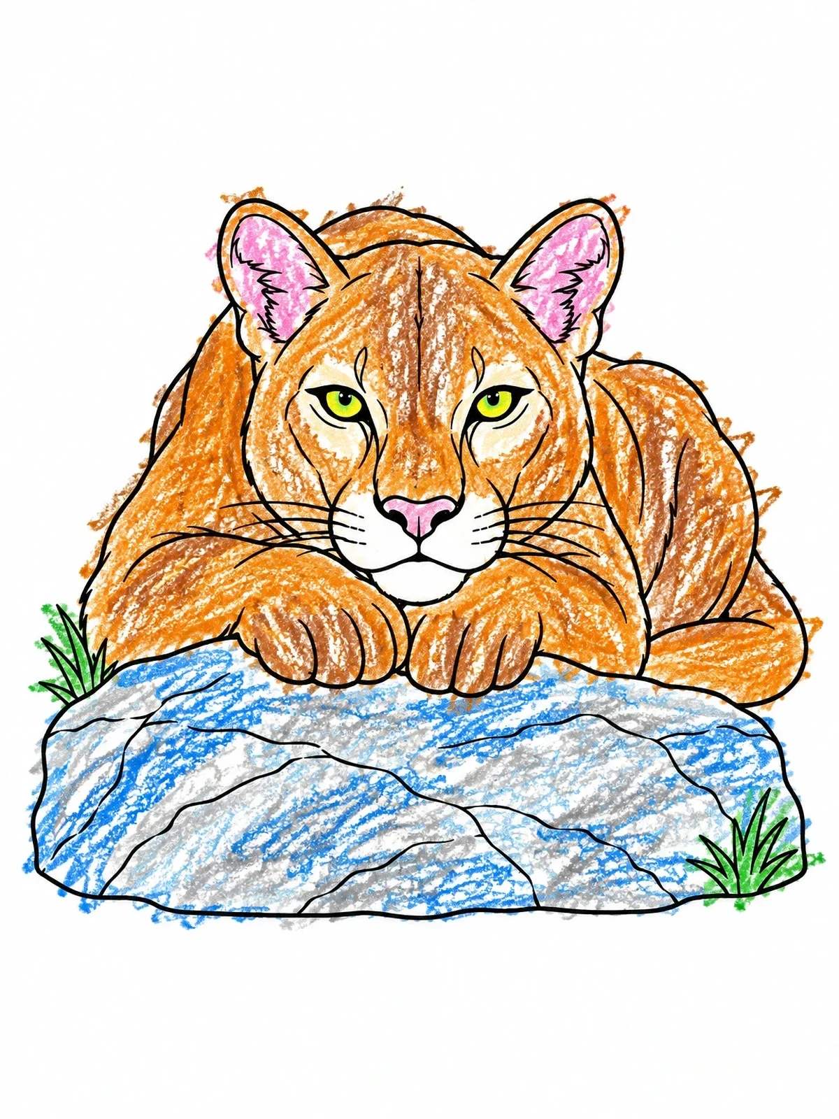 Colored example of the Cougar Resting On A Rock coloring page