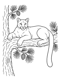 Free printable Cougar Resting On Pine Branch coloring page