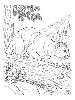 Free printable Cougar Prowling Behind Forest Log coloring page