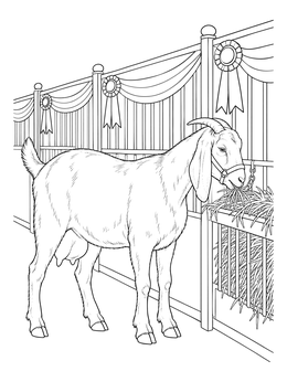 Free printable Prize Goat At The Fair Stalls coloring page