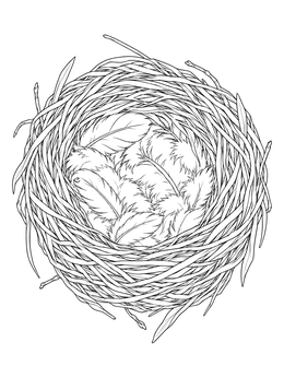 Top view of a woven bird nest coloring page lined with soft feathers.