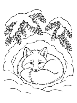 A peaceful fox curls inside a snowy den in this winter solstice coloring page.