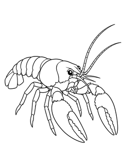 Detailed crawfish coloring page showing large front claws and segmented shell.
