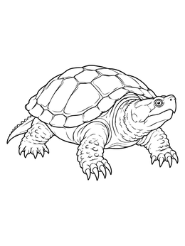 A detailed snapping turtle coloring page featuring sharp claws and a textured shell.