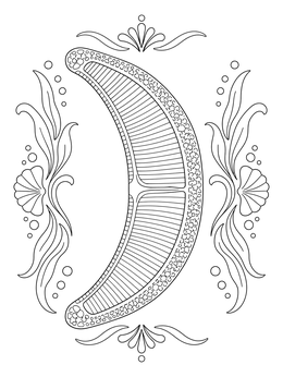 A detailed crescent diatom in this phytoplankton coloring page framed by ocean elements.
