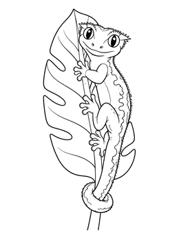 Free printable Cute Crested Gecko On Leaf coloring page
