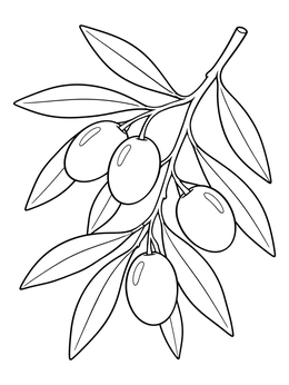 Free printable Mediterranean Olive Branch With Ripe Olives coloring page