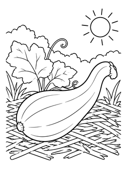 Free printable Crookneck Squash In The Garden coloring page