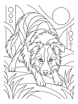 Free printable Crouching Border Collie In Motion coloring page