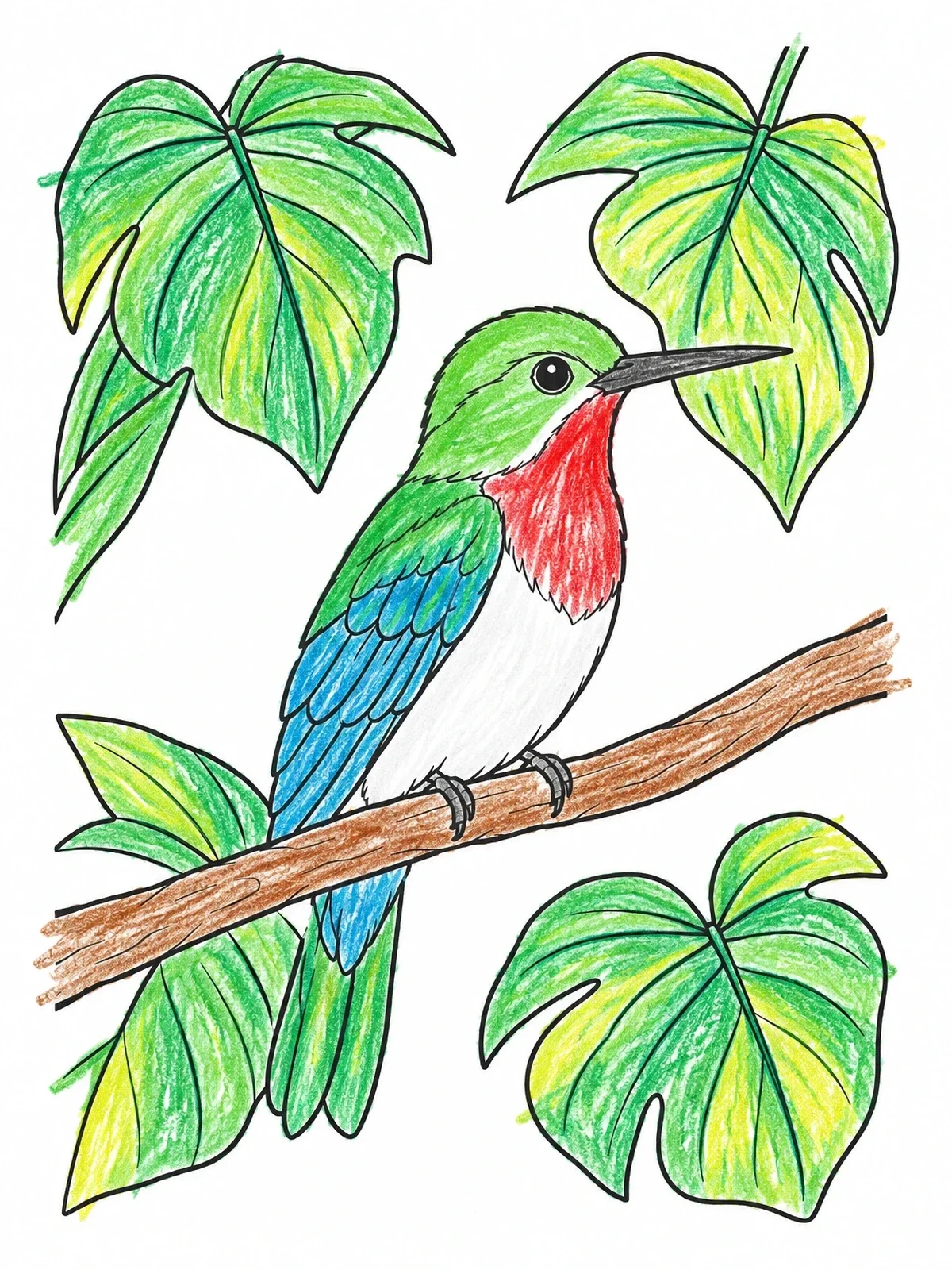 Colored example of the Cuban Tody On A Tropical Branch coloring page