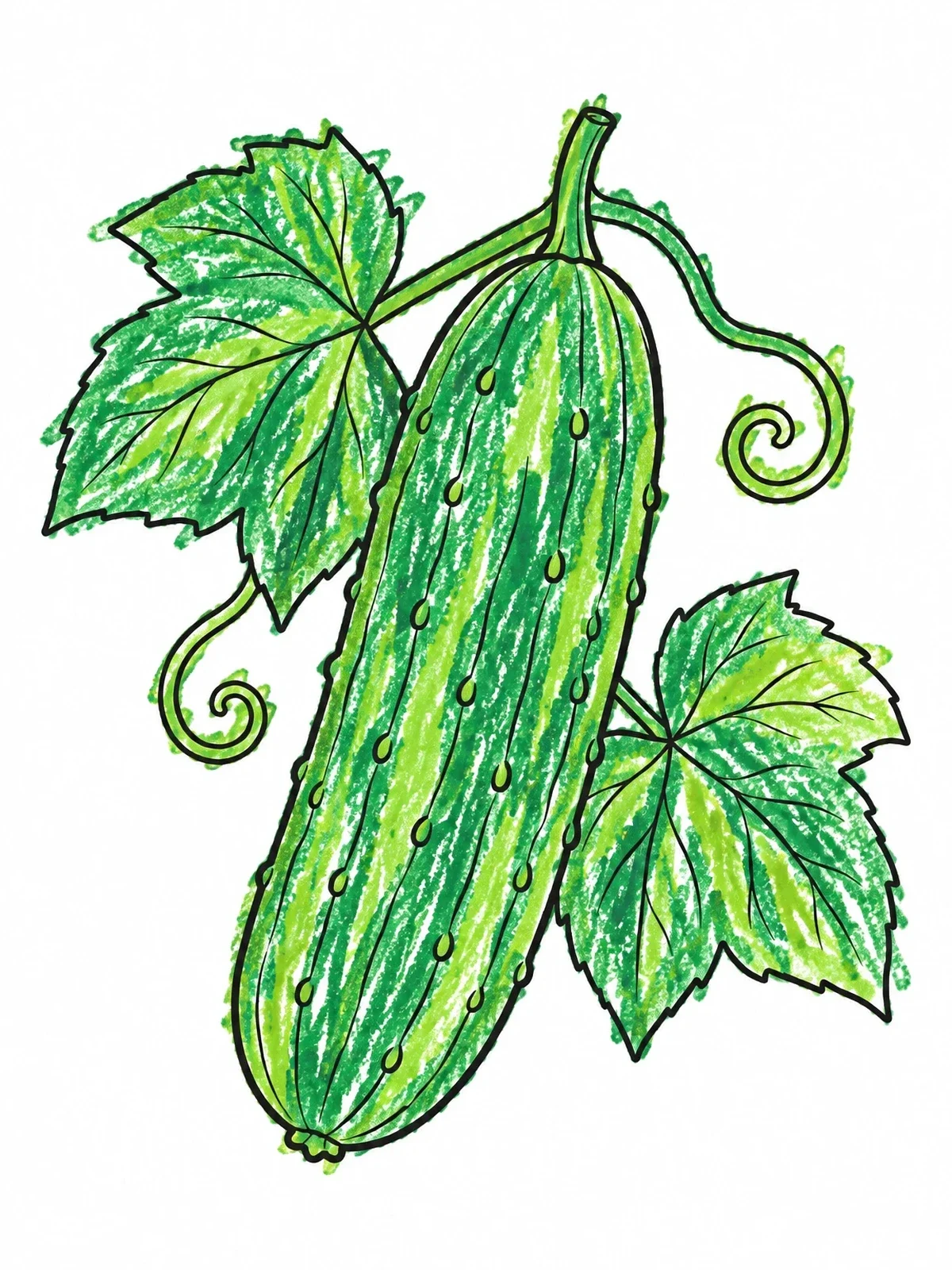 Colored example of the Fresh Cucumber On The Vine coloring page