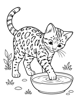 Free printable Curious Bengal Kitten At Water Bowl coloring page