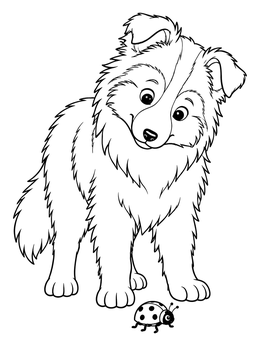 Free printable Curious Collie Puppy With Ladybug coloring page